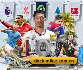 dock-milee.com.cn APP